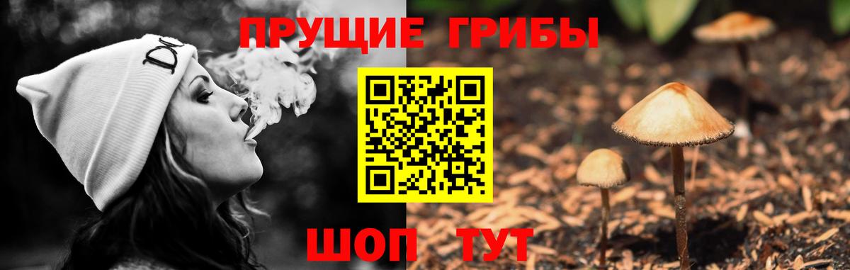 Нововоронеж  Галлюциногенные грибы Cubensis  Вход с VPN 